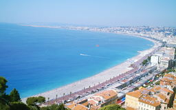 レモン企画とは？